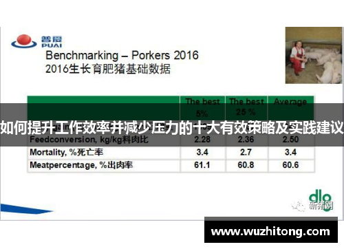 如何提升工作效率并减少压力的十大有效策略及实践建议